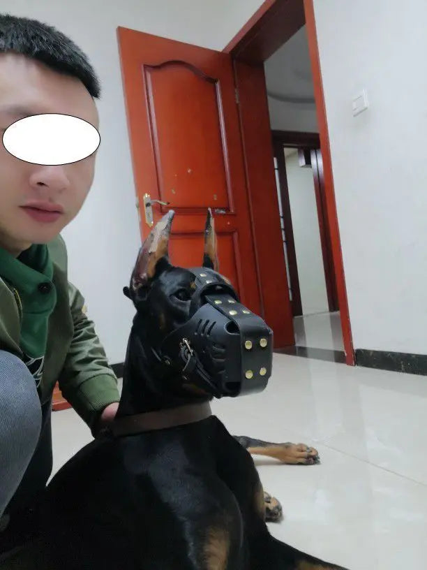 Dog Muzzle -Medium And Large Dog -Horse Dog