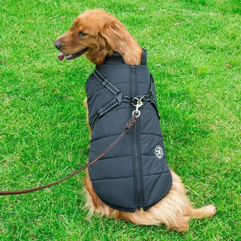 Dog Clothes Chest Back Integrated Cotton Vest -Pet Cotton Clothes Winter Clothes