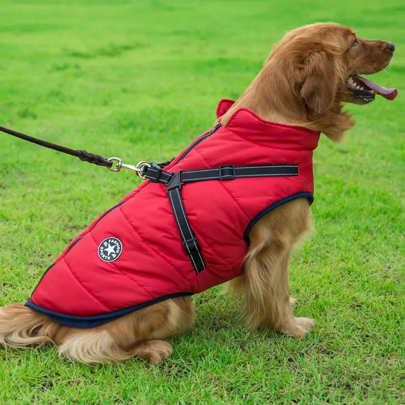 Dog Clothes Chest Back Integrated Cotton Vest -Pet Cotton Clothes Winter Clothes