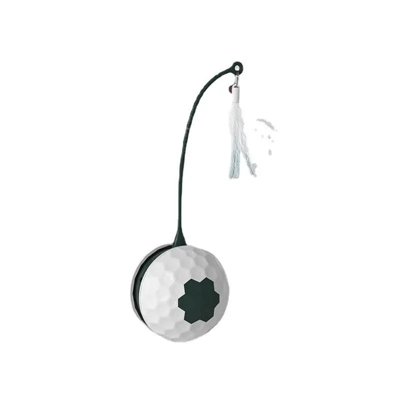 Electric Intelligent Bite Resistant Cat Toys -Pet Products
