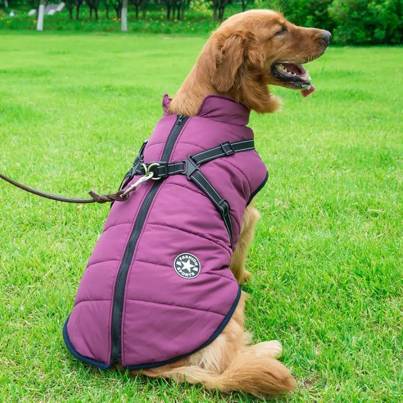 Dog Clothes Chest Back Integrated Cotton Vest -Pet Cotton Clothes Winter Clothes