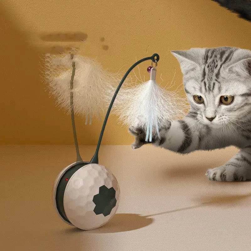 Electric Intelligent Bite Resistant Cat Toys -Pet Products